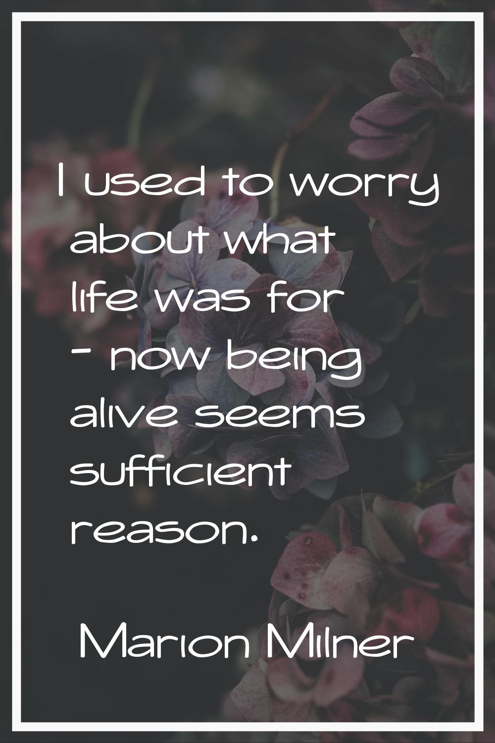 I used to worry about what life was for - now being alive seems sufficient reason.