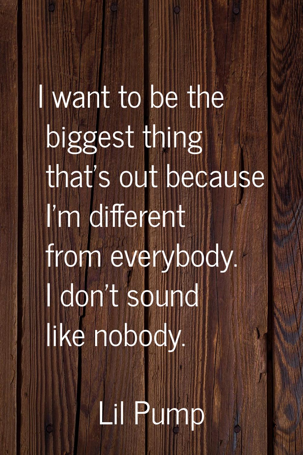 I want to be the biggest thing that's out because I'm different from everybody. I don't sound like 