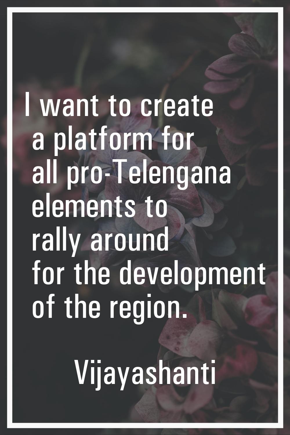 I want to create a platform for all pro-Telengana elements to rally around for the development of t
