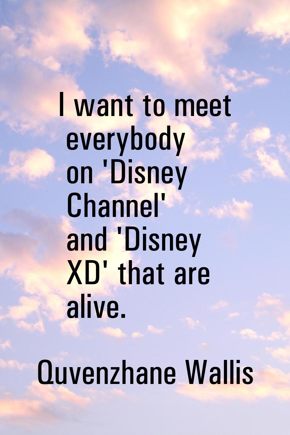 I want to meet everybody on 'Disney Channel' and 'Disney XD' that are alive.