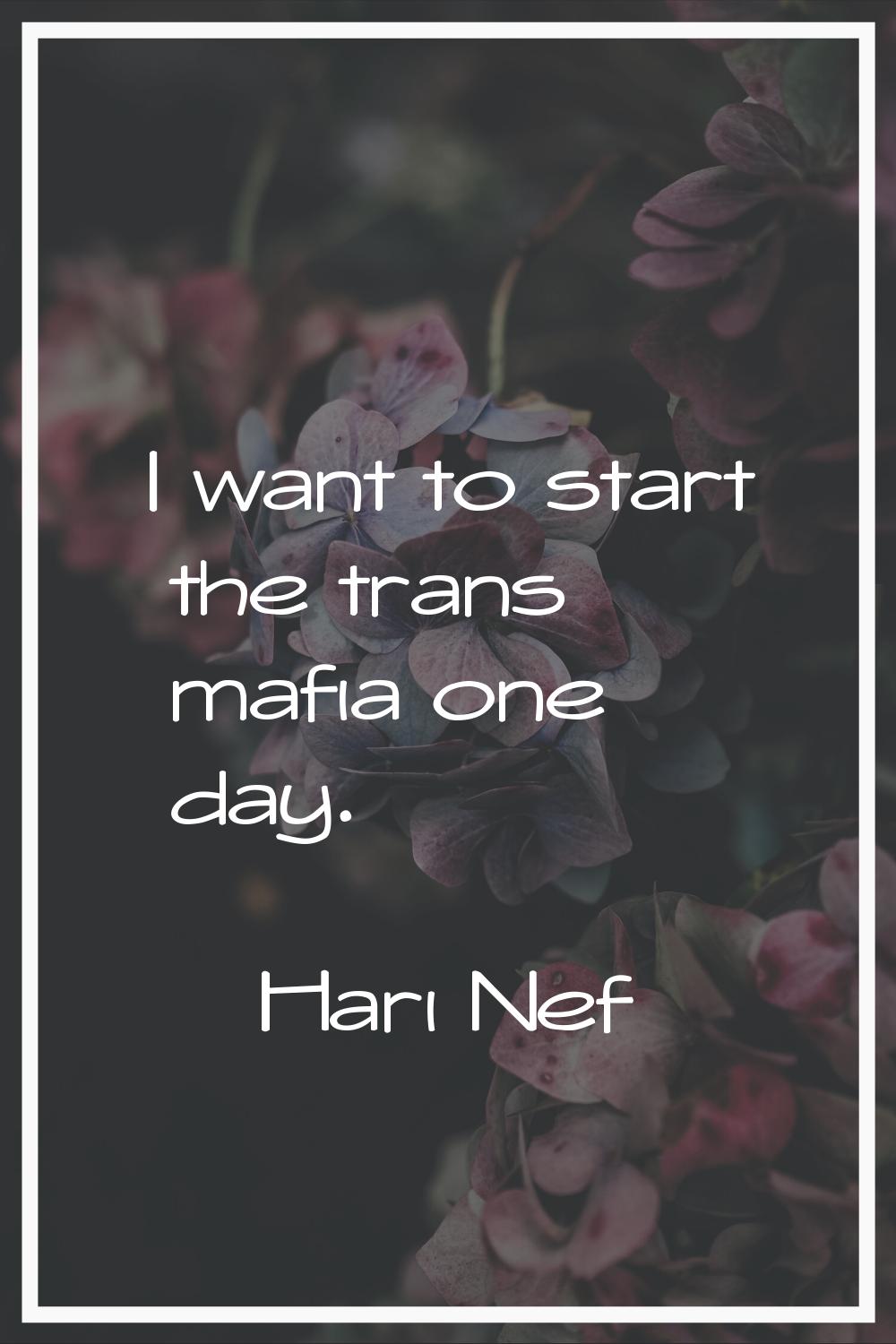I want to start the trans mafia one day.