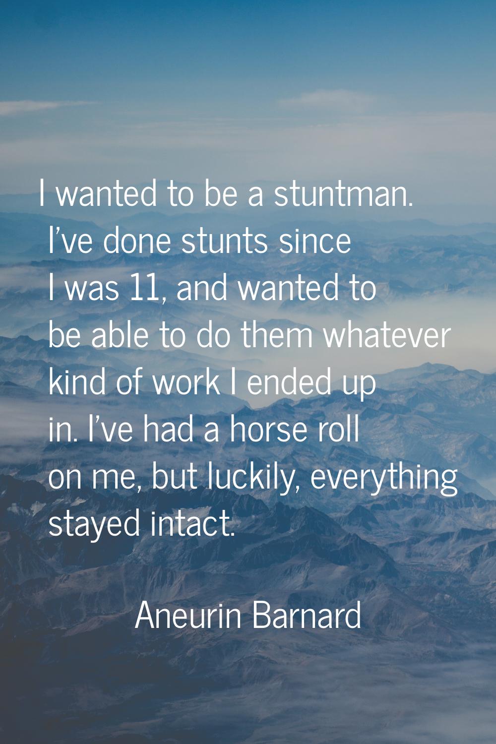 I wanted to be a stuntman. I've done stunts since I was 11, and wanted to be able to do them whatev