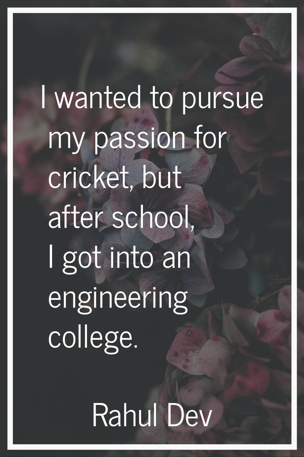 I wanted to pursue my passion for cricket, but after school, I got into an engineering college.