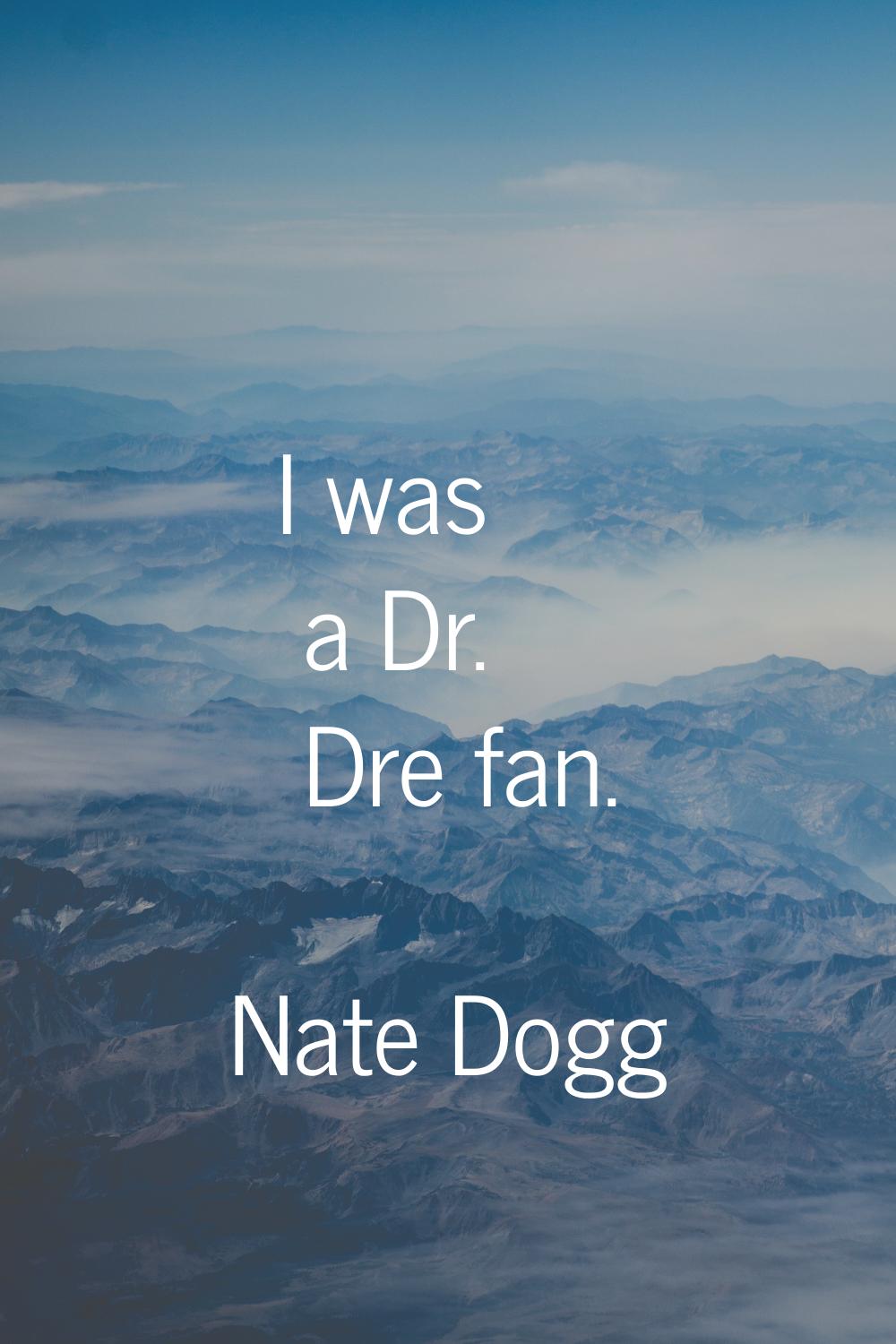 I was a Dr. Dre fan.
