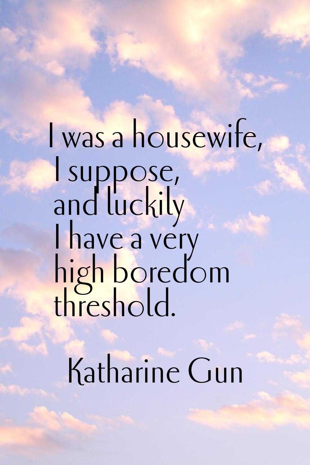 I was a housewife, I suppose, and luckily I have a very high boredom threshold.