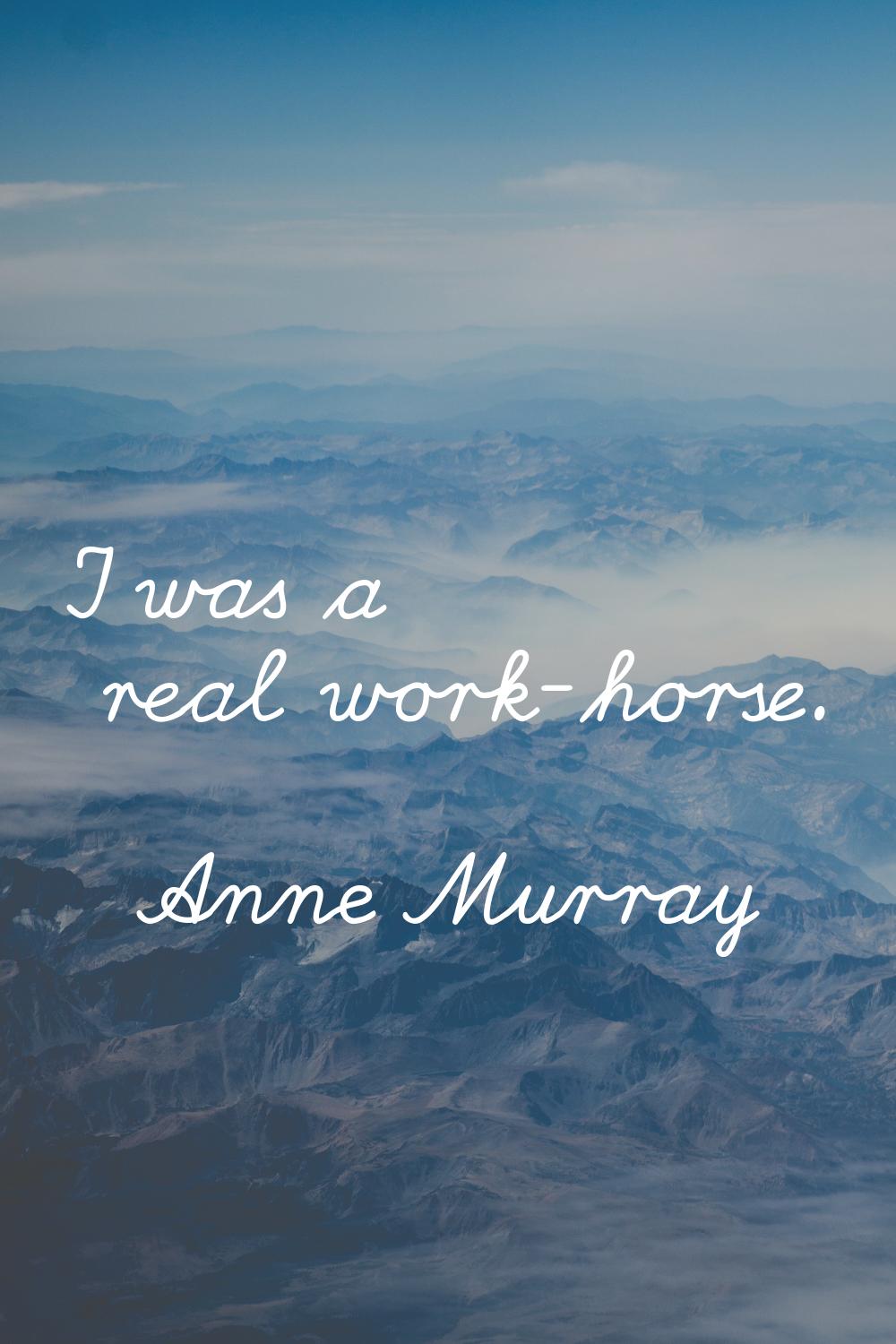 I was a real work-horse.