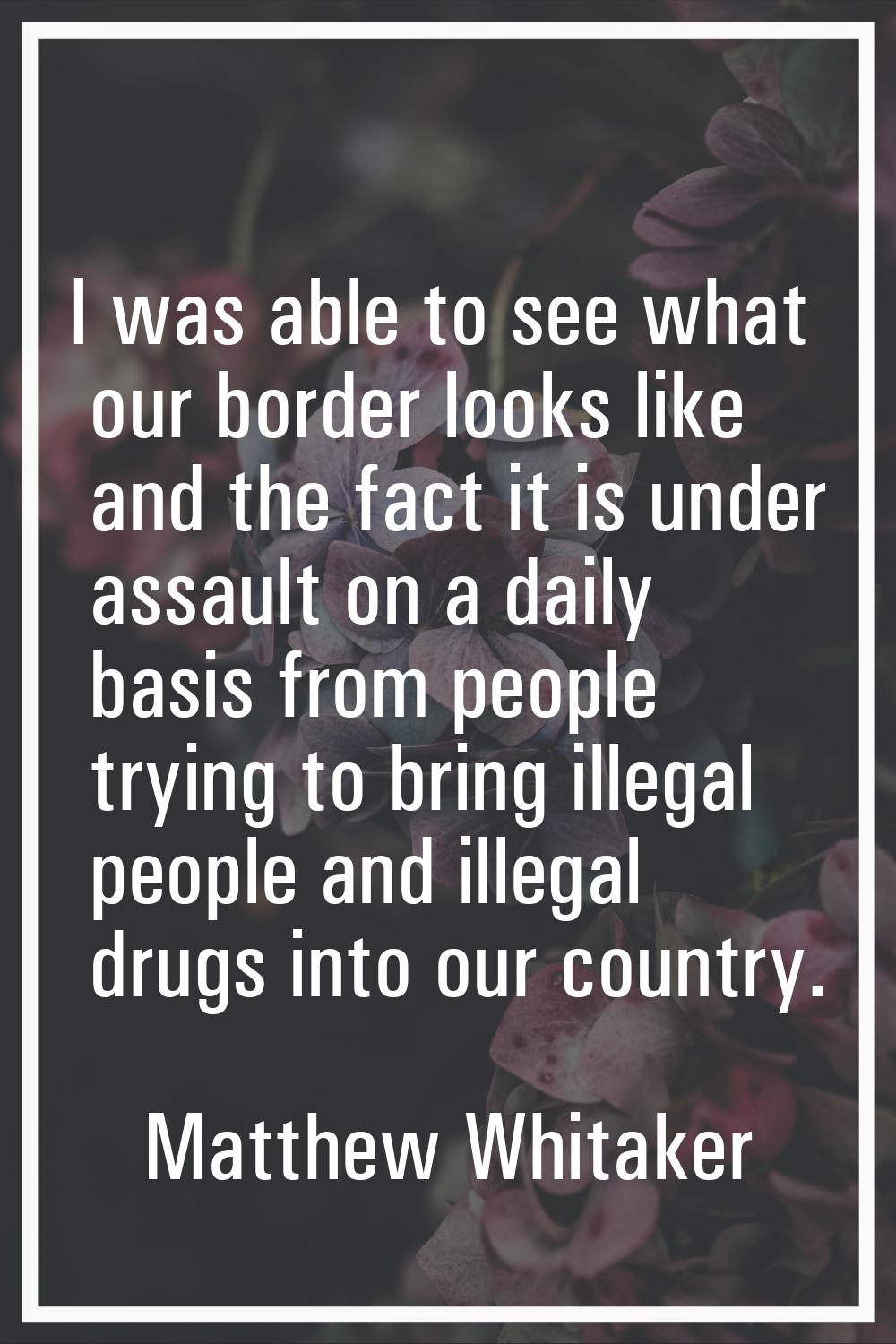 I was able to see what our border looks like and the fact it is under assault on a daily basis from