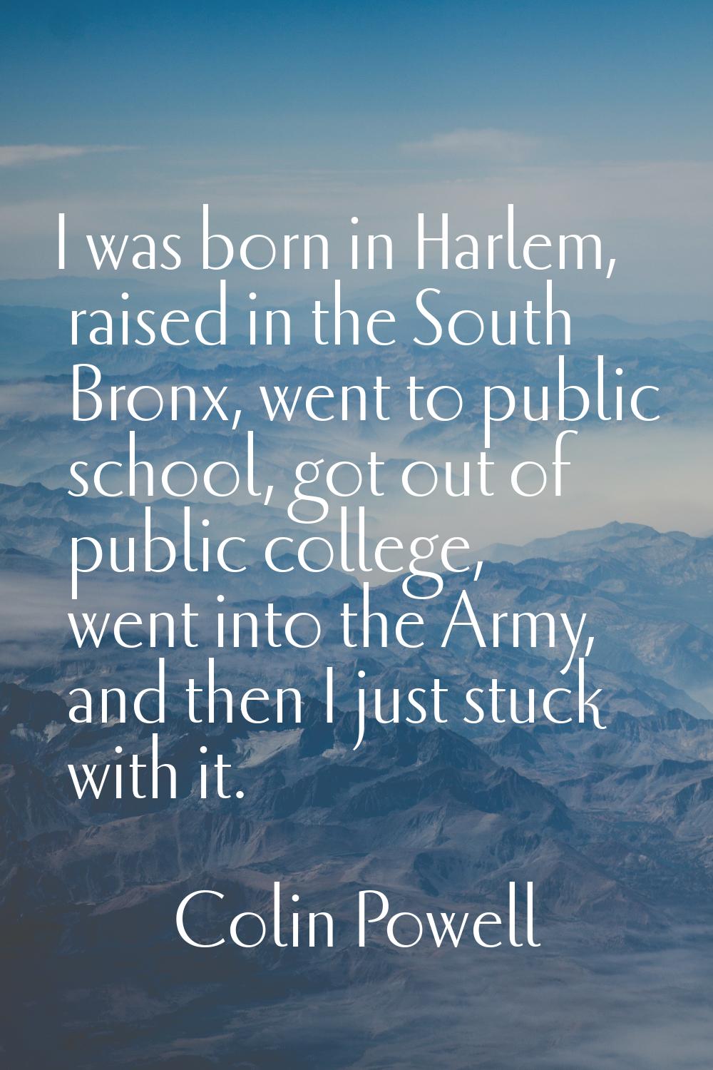 I was born in Harlem, raised in the South Bronx, went to public school, got out of public college, 