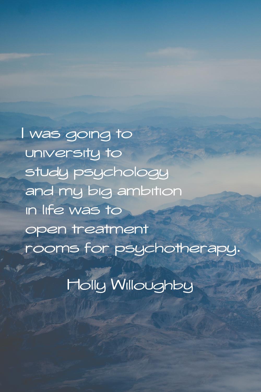 I was going to university to study psychology and my big ambition in life was to open treatment roo