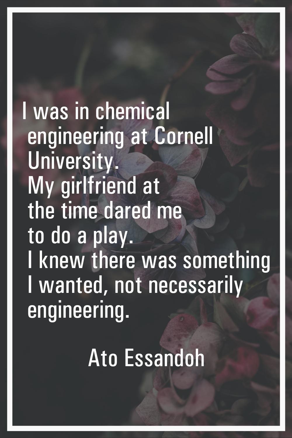 I was in chemical engineering at Cornell University. My girlfriend at the time dared me to do a pla