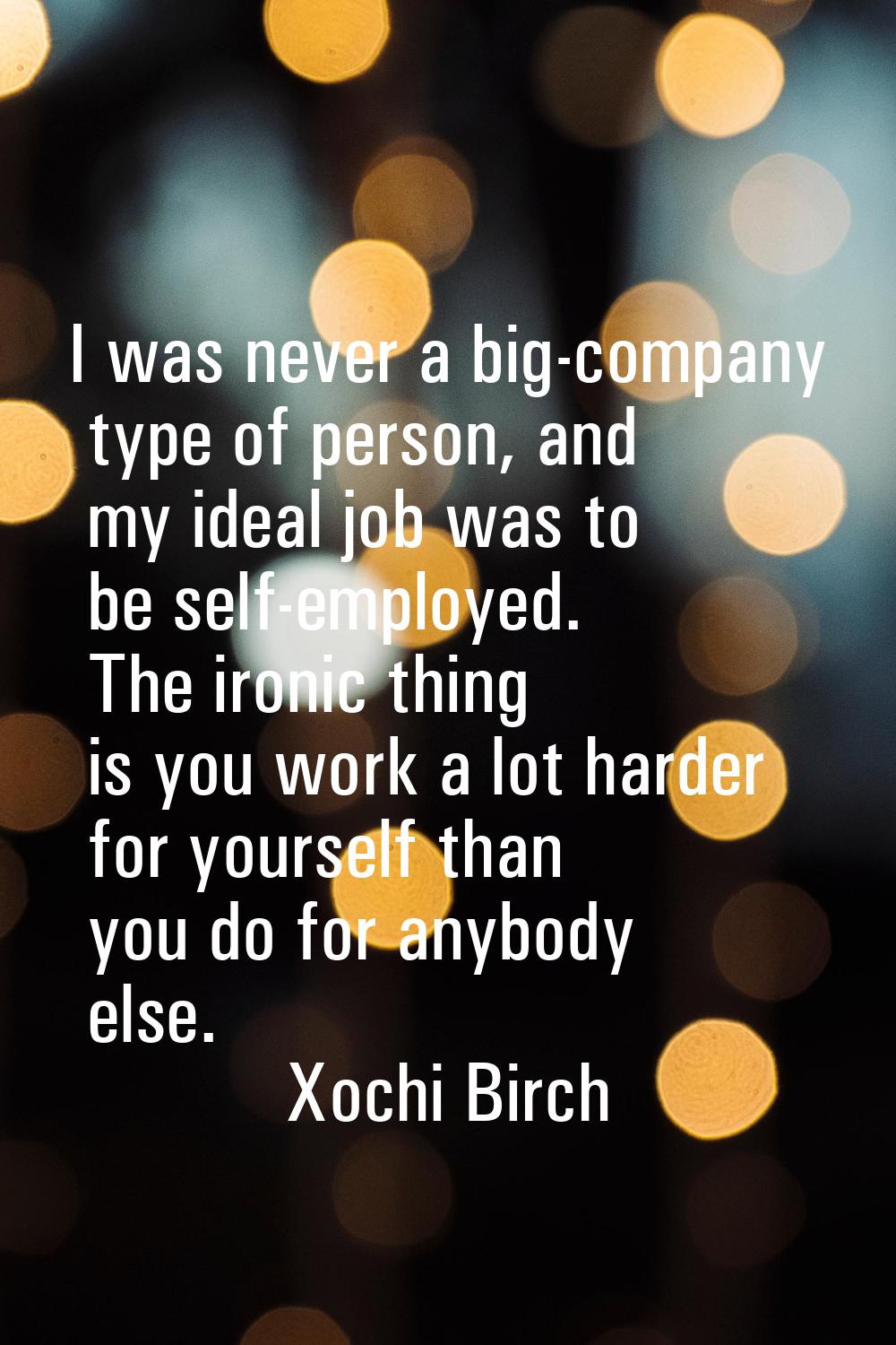 I was never a big-company type of person, and my ideal job was to be self-employed. The ironic thin