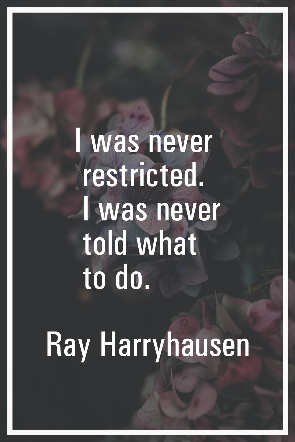 I was never restricted. I was never told what to do.