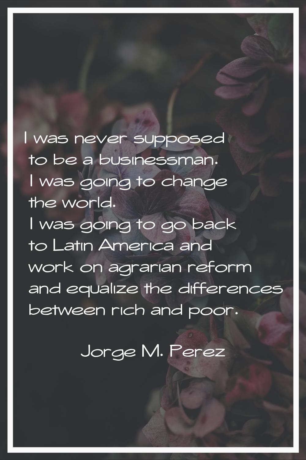 I was never supposed to be a businessman. I was going to change the world. I was going to go back t