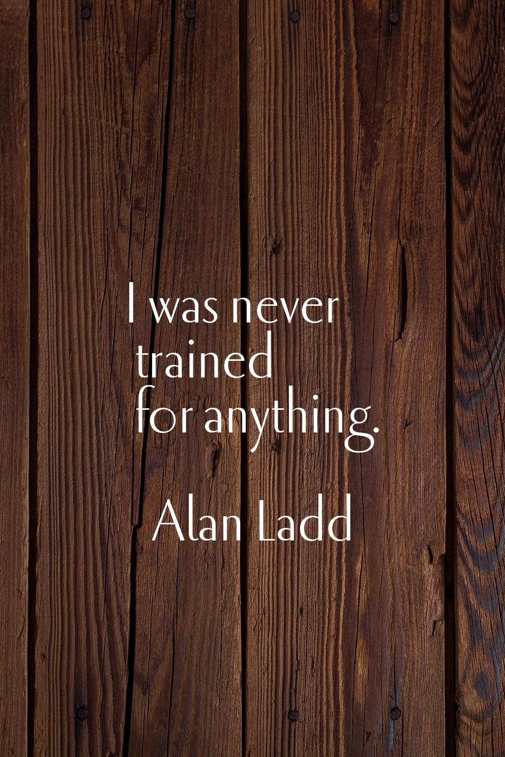 I was never trained for anything.