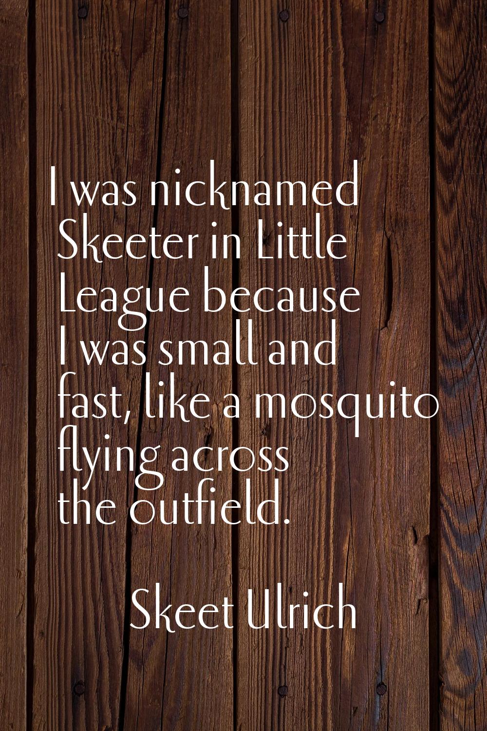 I was nicknamed Skeeter in Little League because I was small and fast, like a mosquito flying acros
