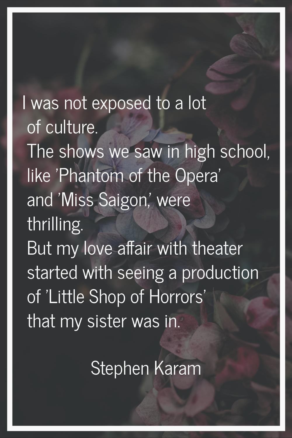 I was not exposed to a lot of culture. The shows we saw in high school, like 'Phantom of the Opera'