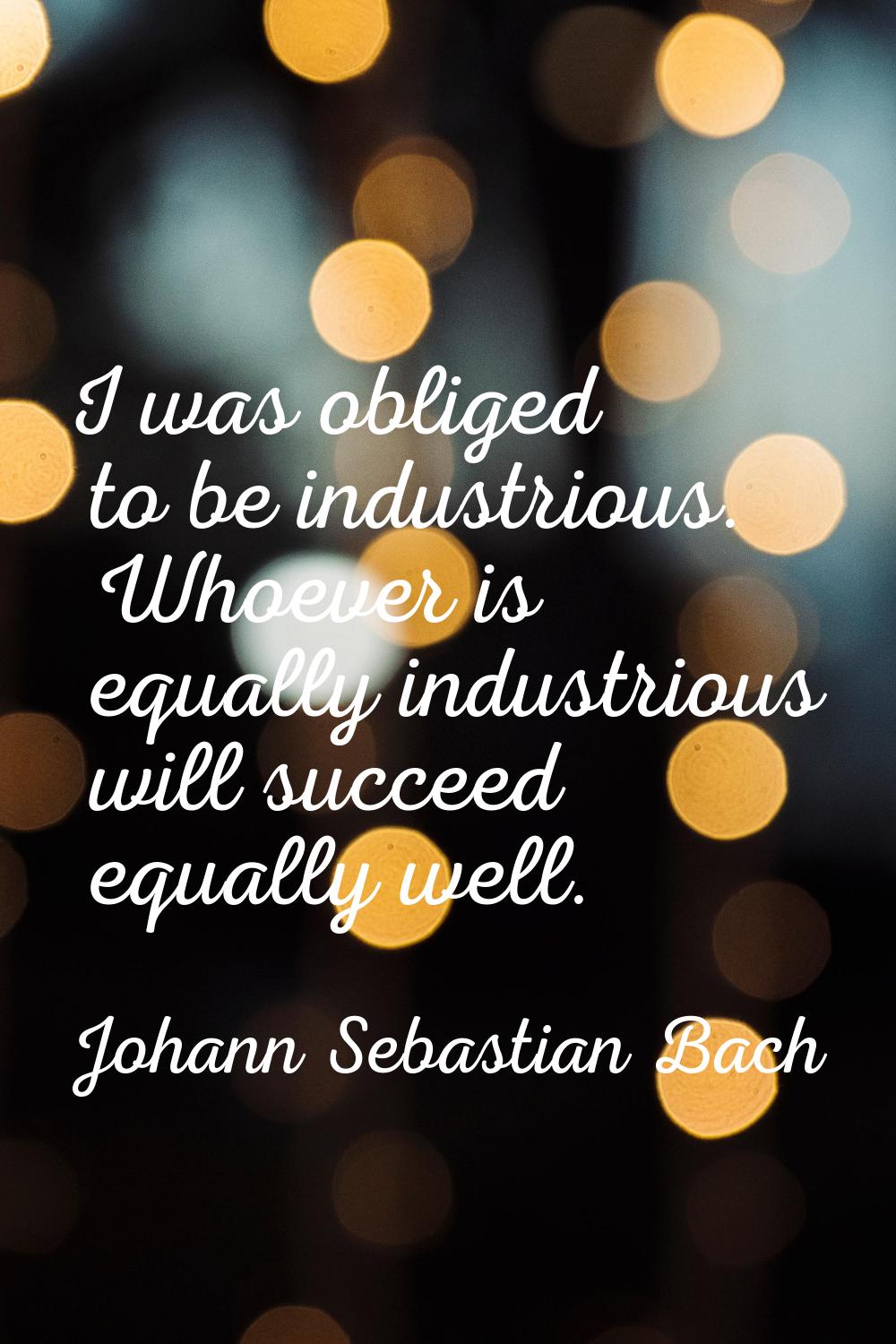I was obliged to be industrious. Whoever is equally industrious will succeed equally well.