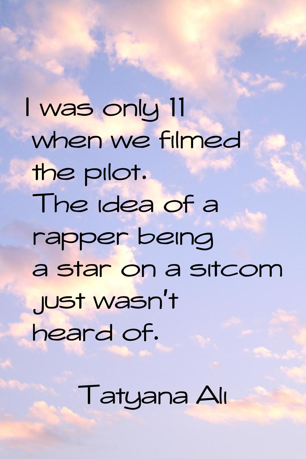 I was only 11 when we filmed the pilot. The idea of a rapper being a star on a sitcom just wasn't h