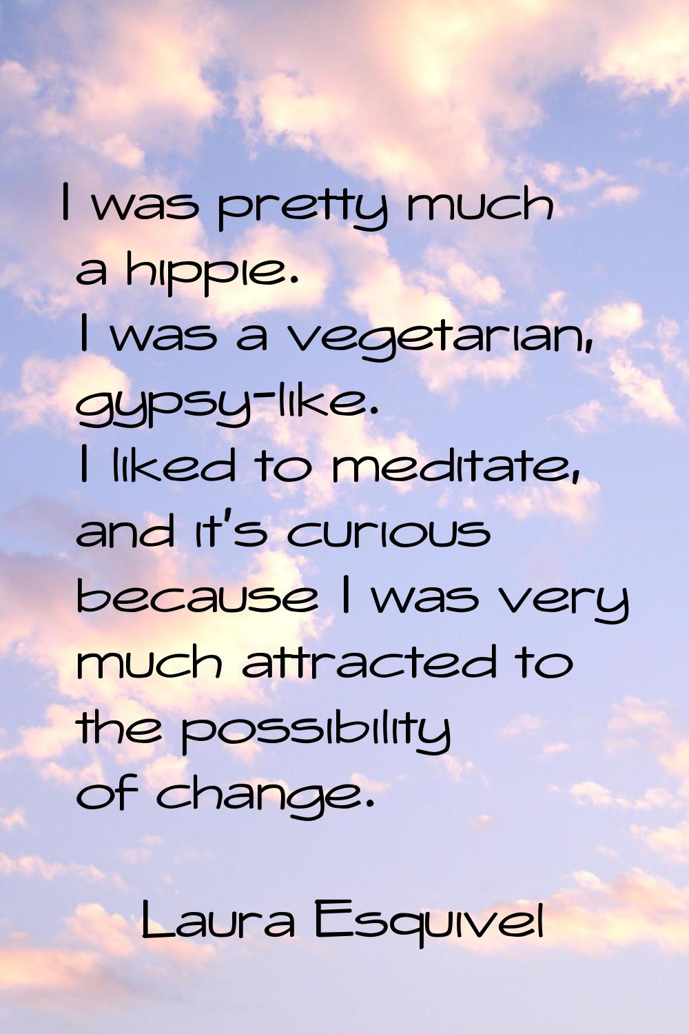 I was pretty much a hippie. I was a vegetarian, gypsy-like. I liked to meditate, and it's curious b