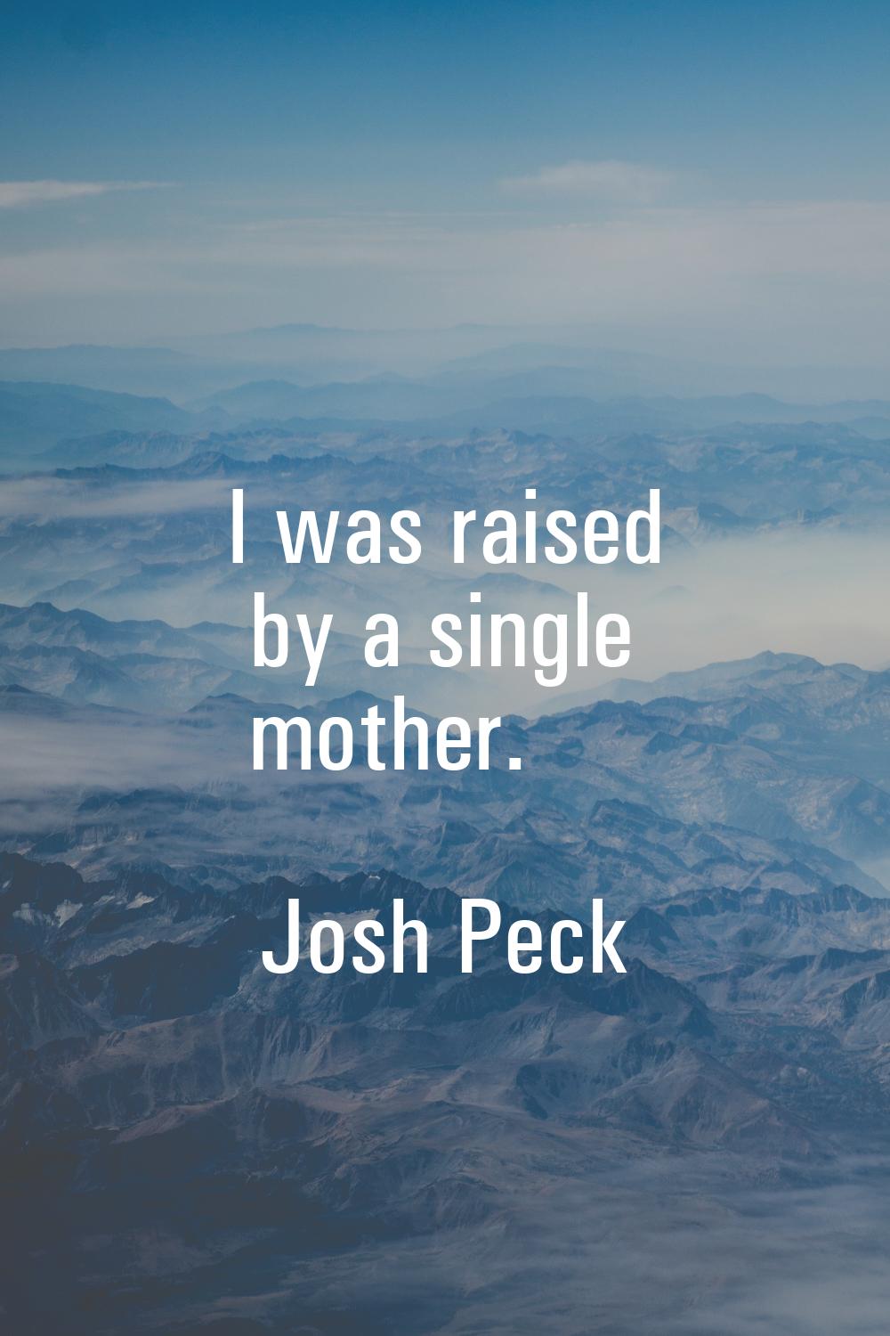 I was raised by a single mother.