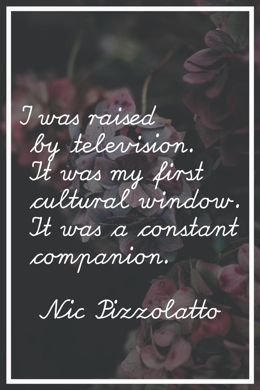 I was raised by television. It was my first cultural window. It was a constant companion.