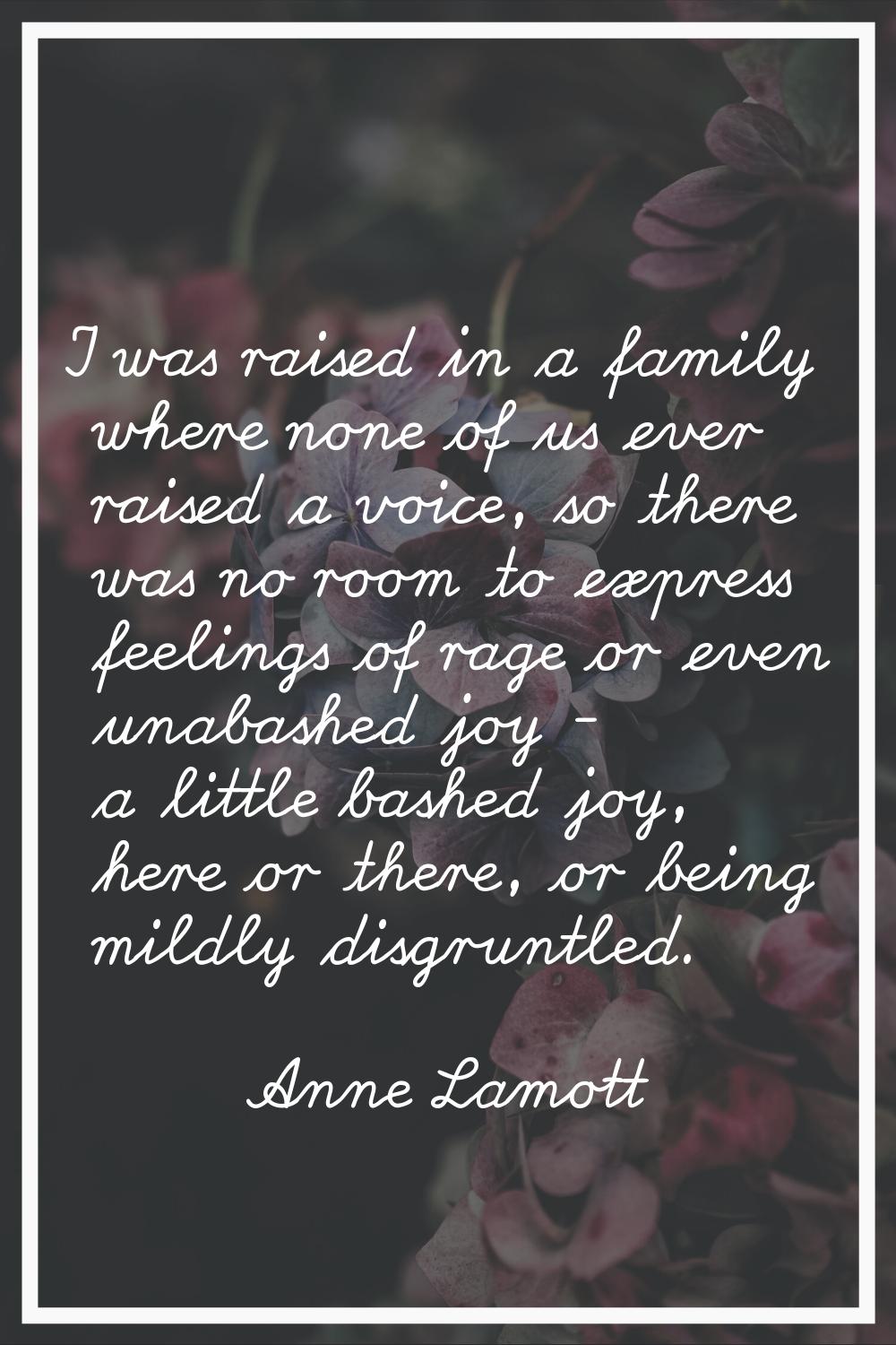 I was raised in a family where none of us ever raised a voice, so there was no room to express feel