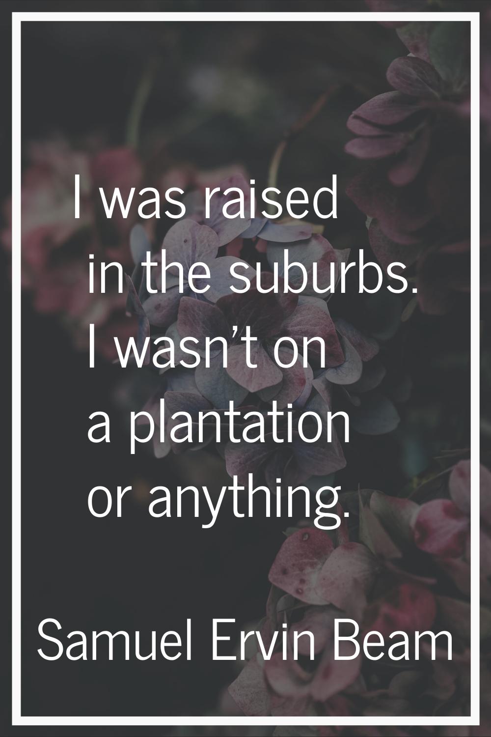 I was raised in the suburbs. I wasn't on a plantation or anything.