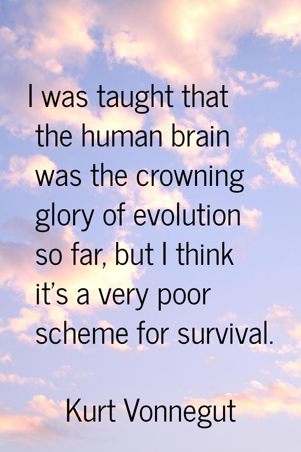 I was taught that the human brain was the crowning glory of evolution so far, but I think it's a ve