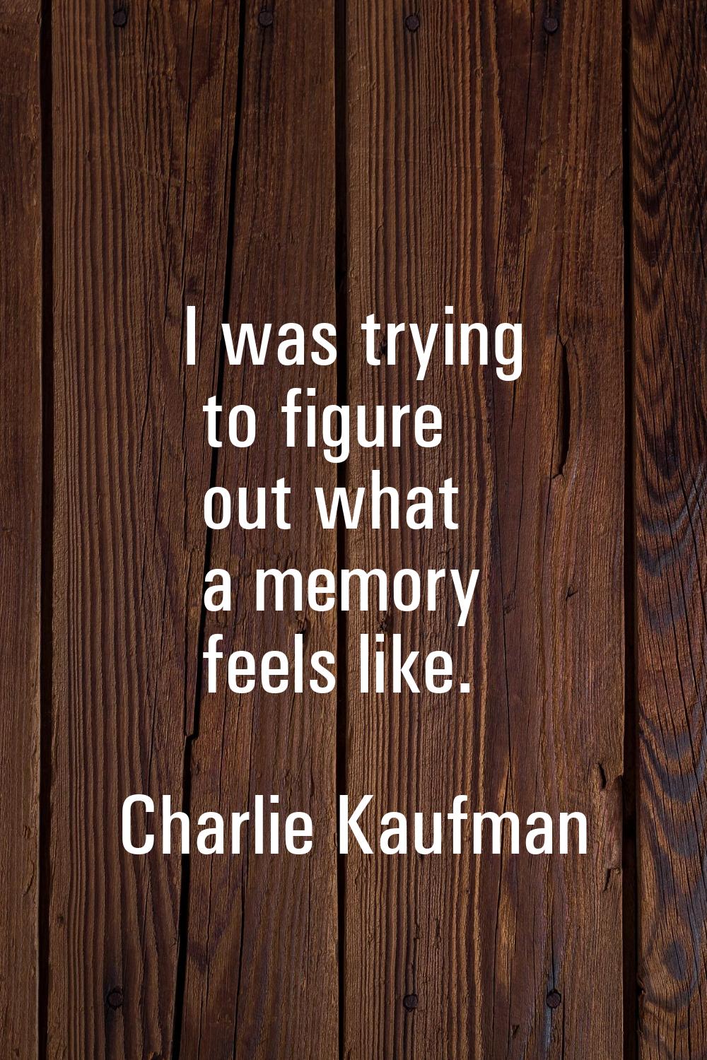 I was trying to figure out what a memory feels like.