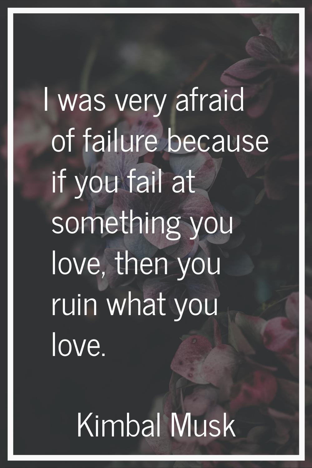 I was very afraid of failure because if you fail at something you love, then you ruin what you love
