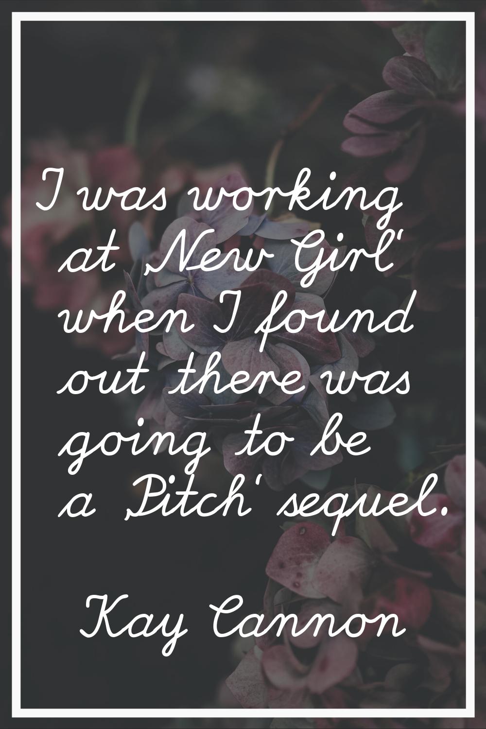 I was working at 'New Girl' when I found out there was going to be a 'Pitch' sequel.