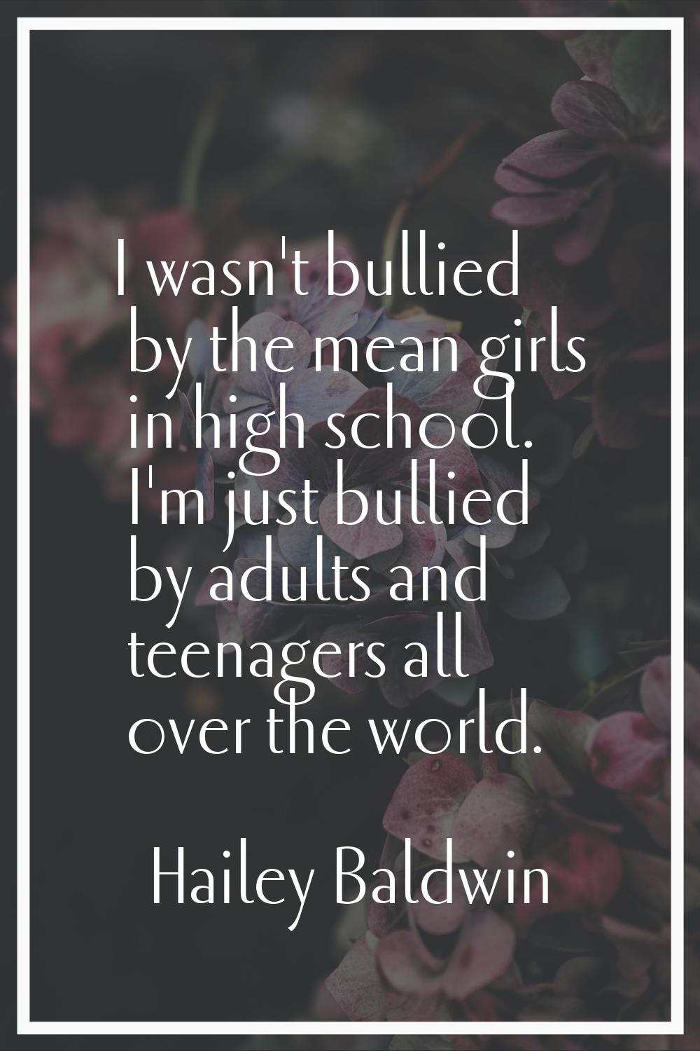 I wasn't bullied by the mean girls in high school. I'm just bullied by adults and teenagers all ove
