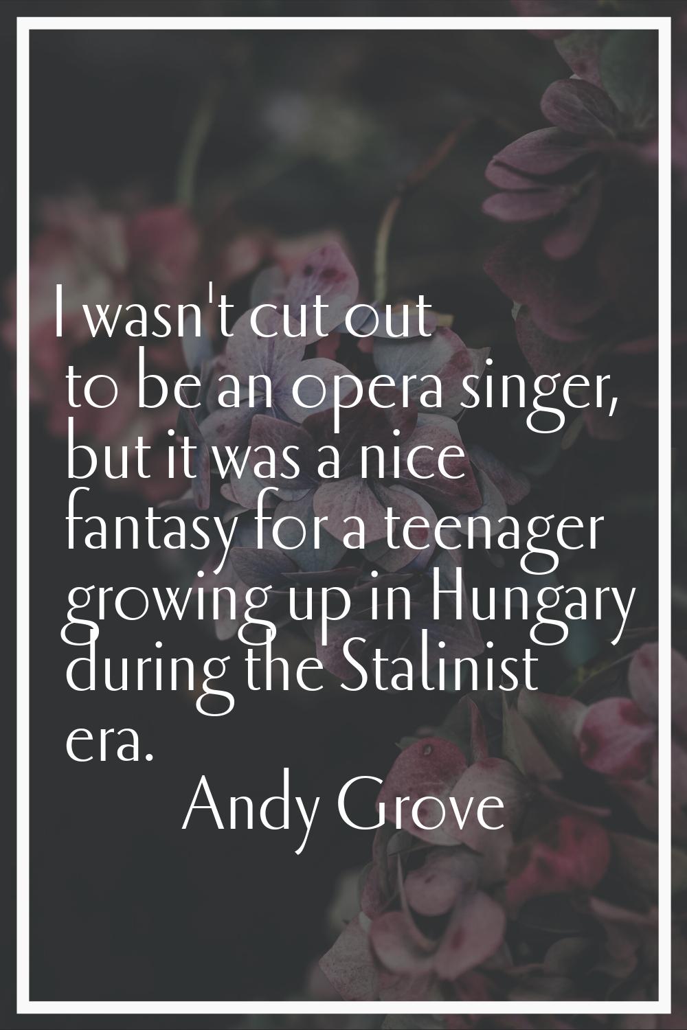 I wasn't cut out to be an opera singer, but it was a nice fantasy for a teenager growing up in Hung