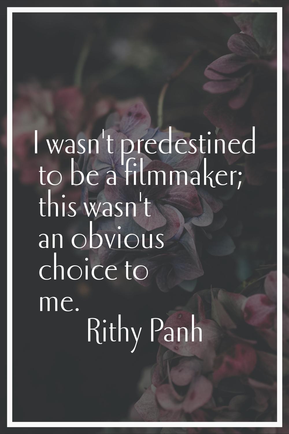 I wasn't predestined to be a filmmaker; this wasn't an obvious choice to me.
