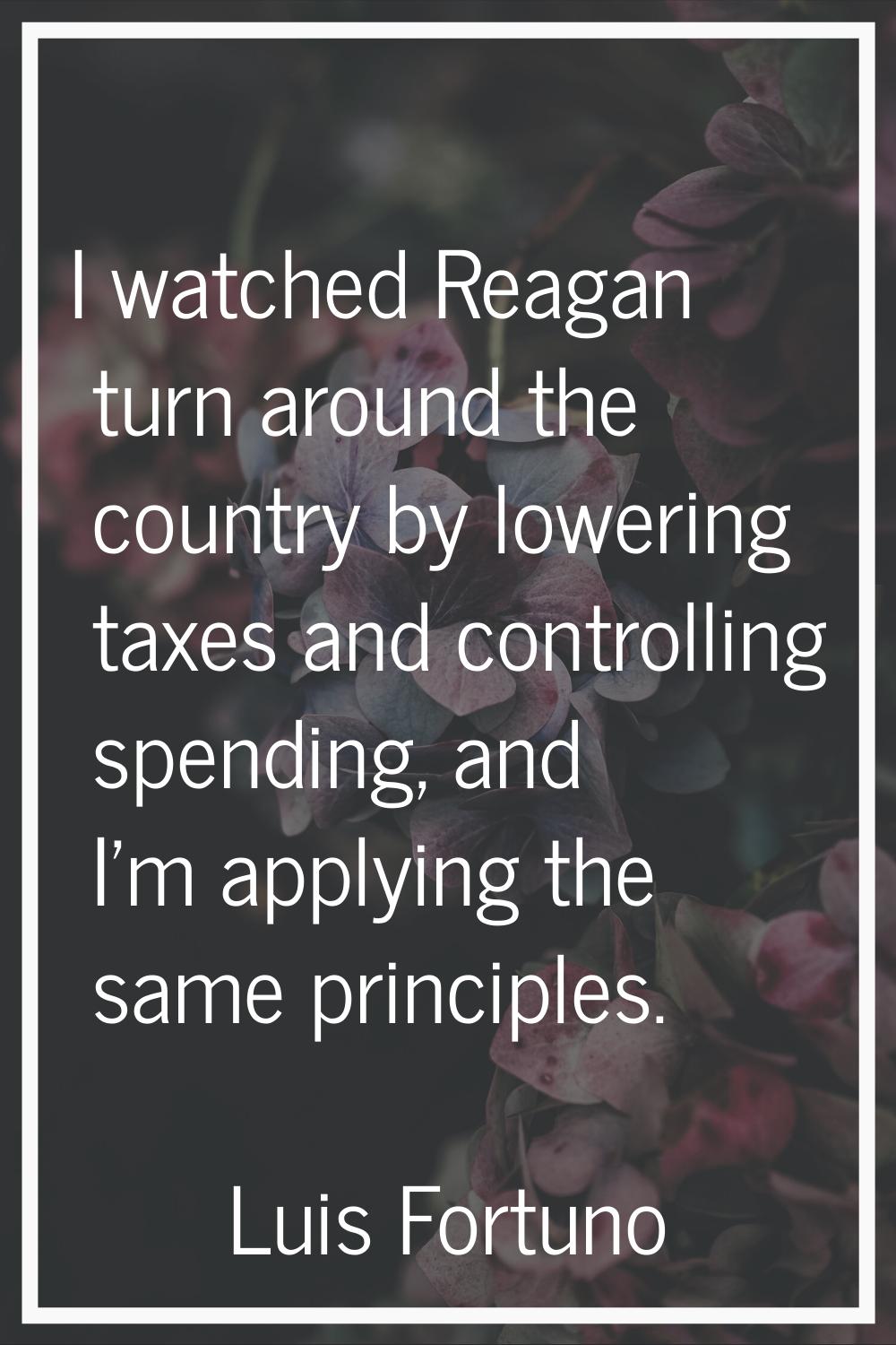 I watched Reagan turn around the country by lowering taxes and controlling spending, and I'm applyi