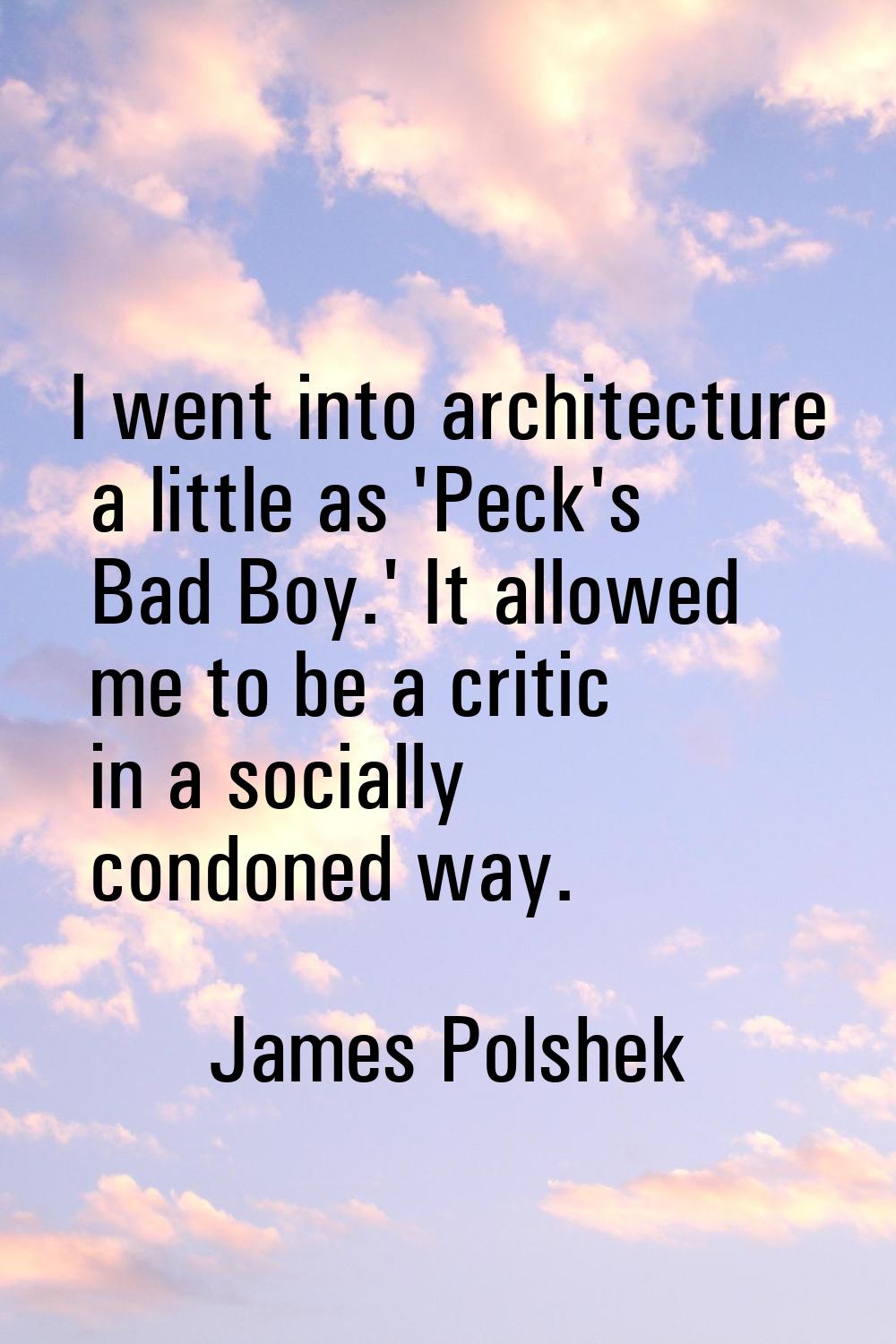 I went into architecture a little as 'Peck's Bad Boy.' It allowed me to be a critic in a socially c