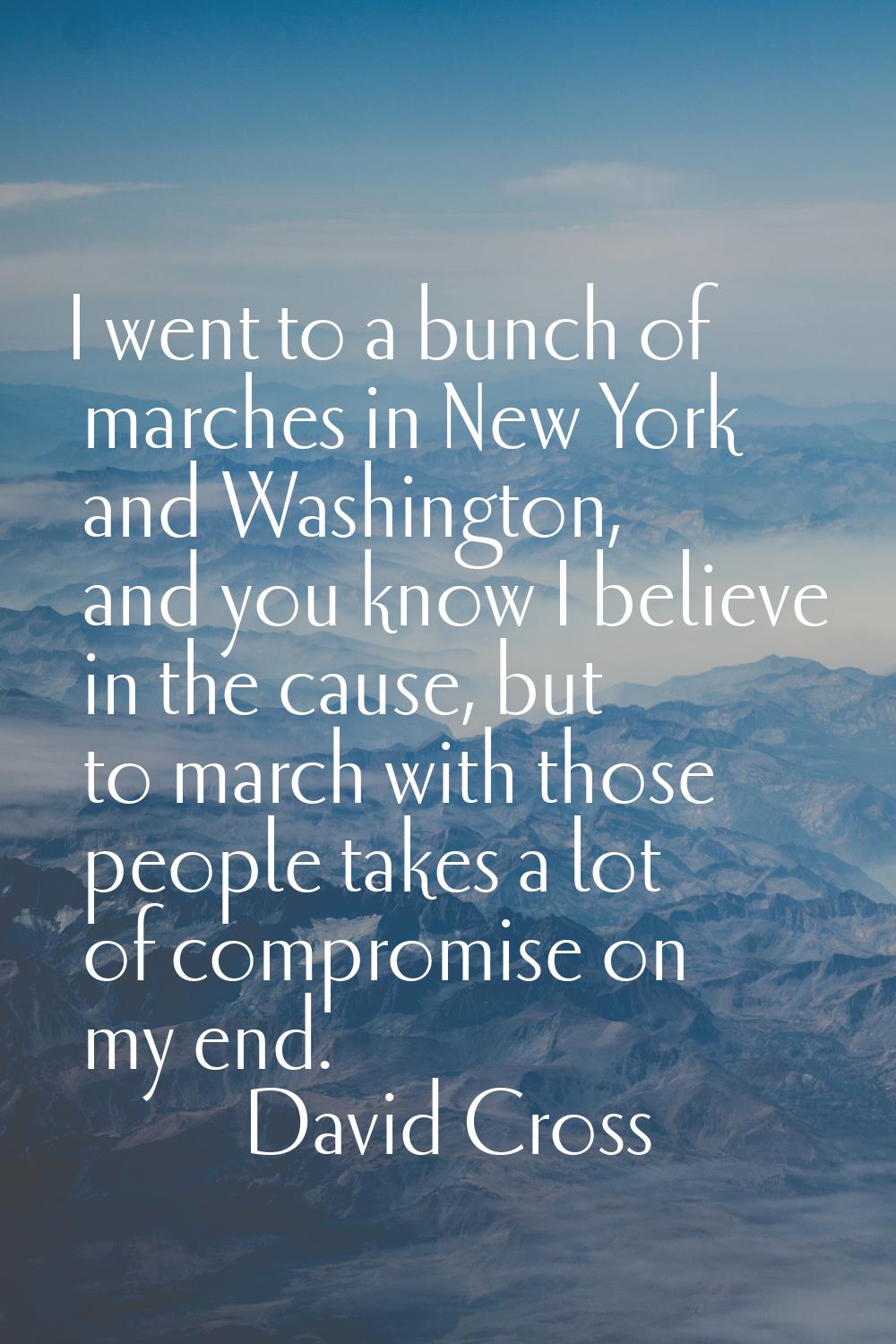 I went to a bunch of marches in New York and Washington, and you know I believe in the cause, but t