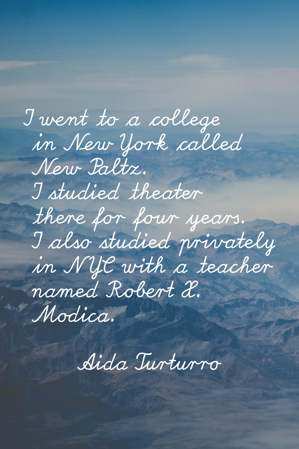 I went to a college in New York called New Paltz. I studied theater there for four years. I also st