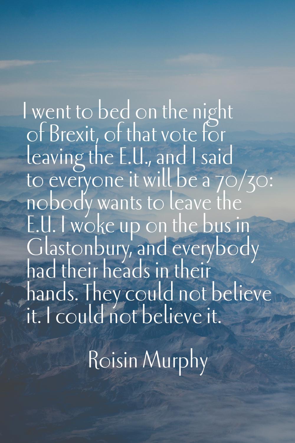 I went to bed on the night of Brexit, of that vote for leaving the E.U., and I said to everyone it 