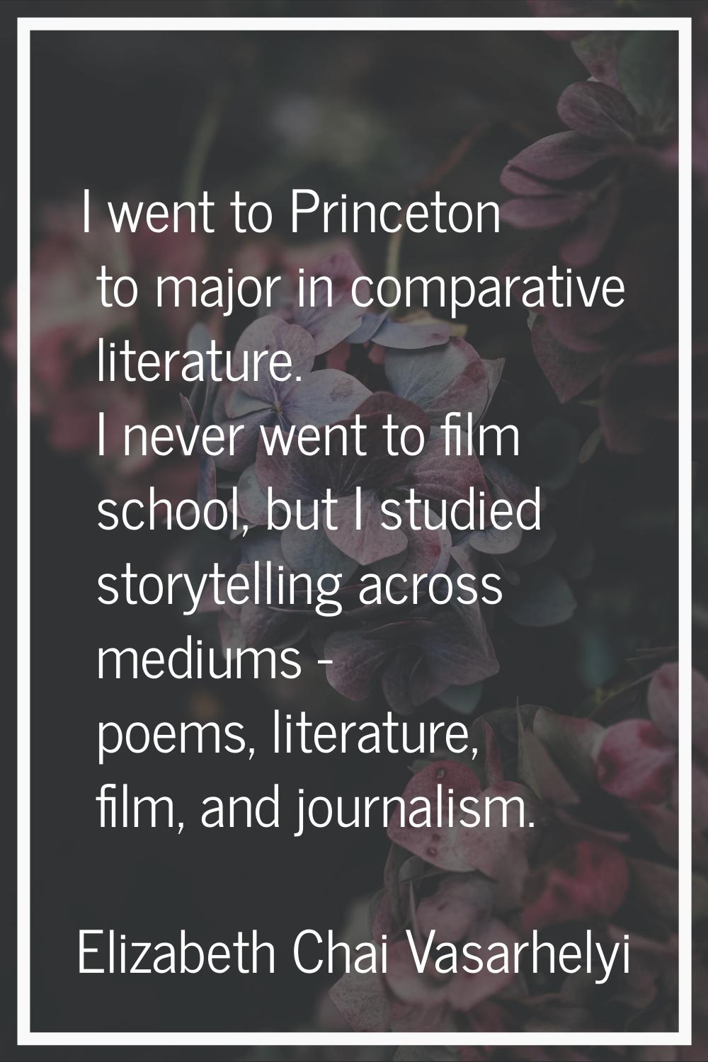 I went to Princeton to major in comparative literature. I never went to film school, but I studied 
