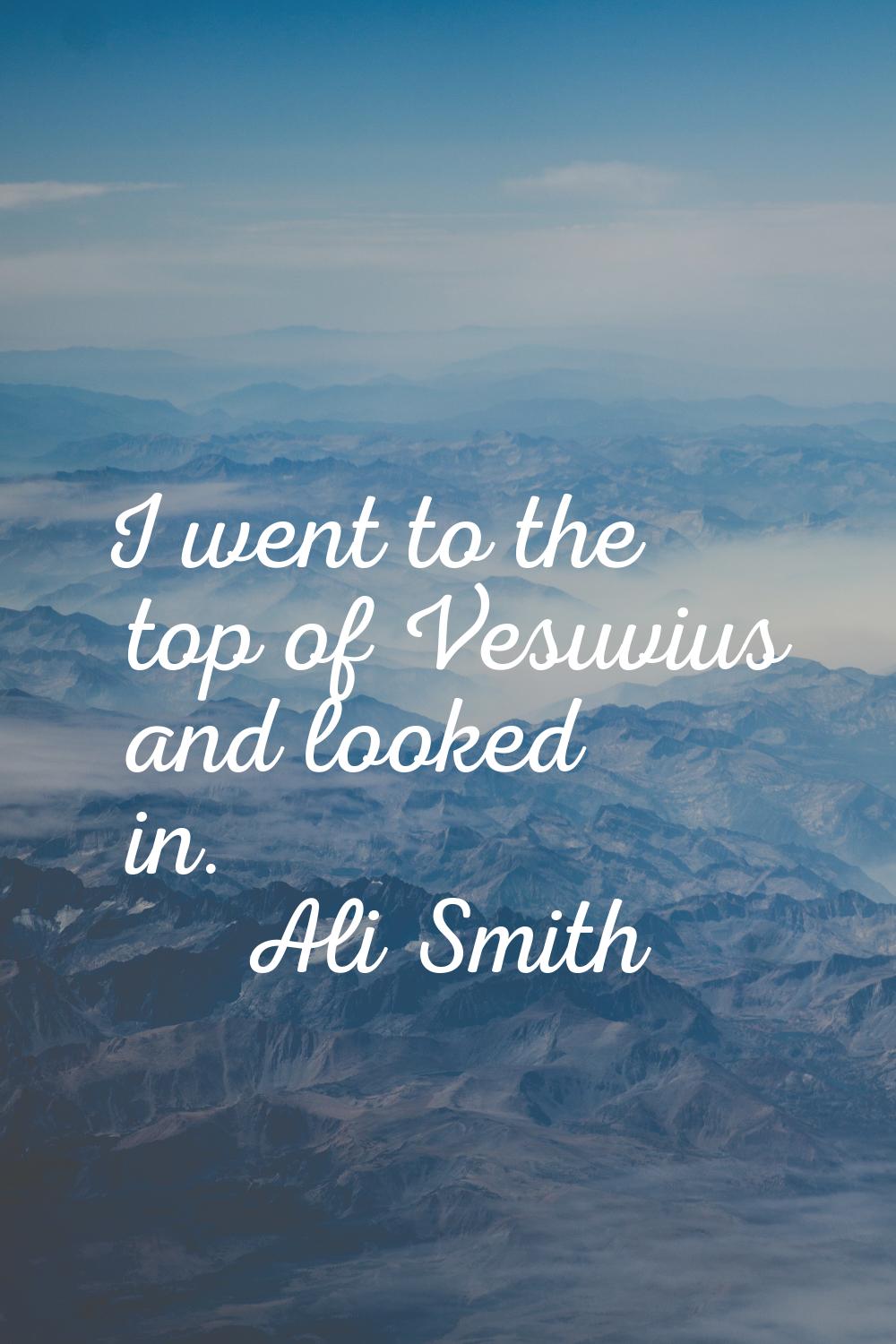 I went to the top of Vesuvius and looked in.