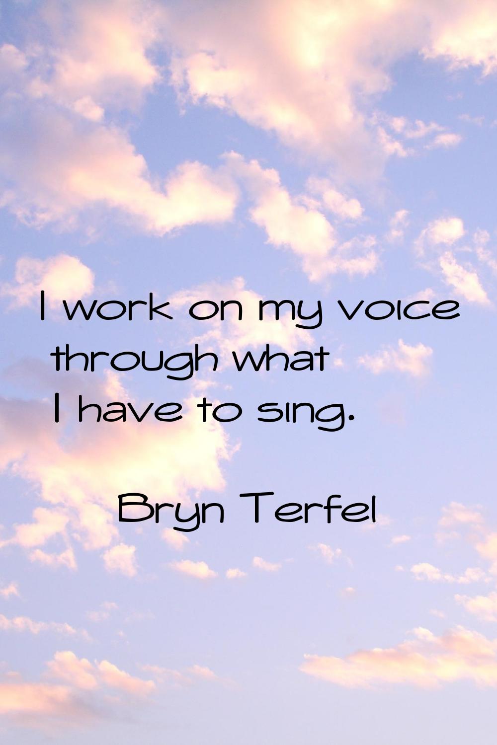 I work on my voice through what I have to sing.