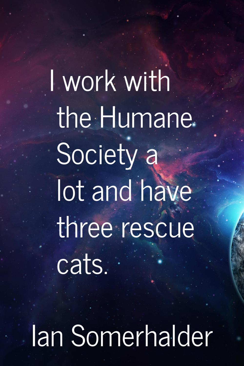 I work with the Humane Society a lot and have three rescue cats.