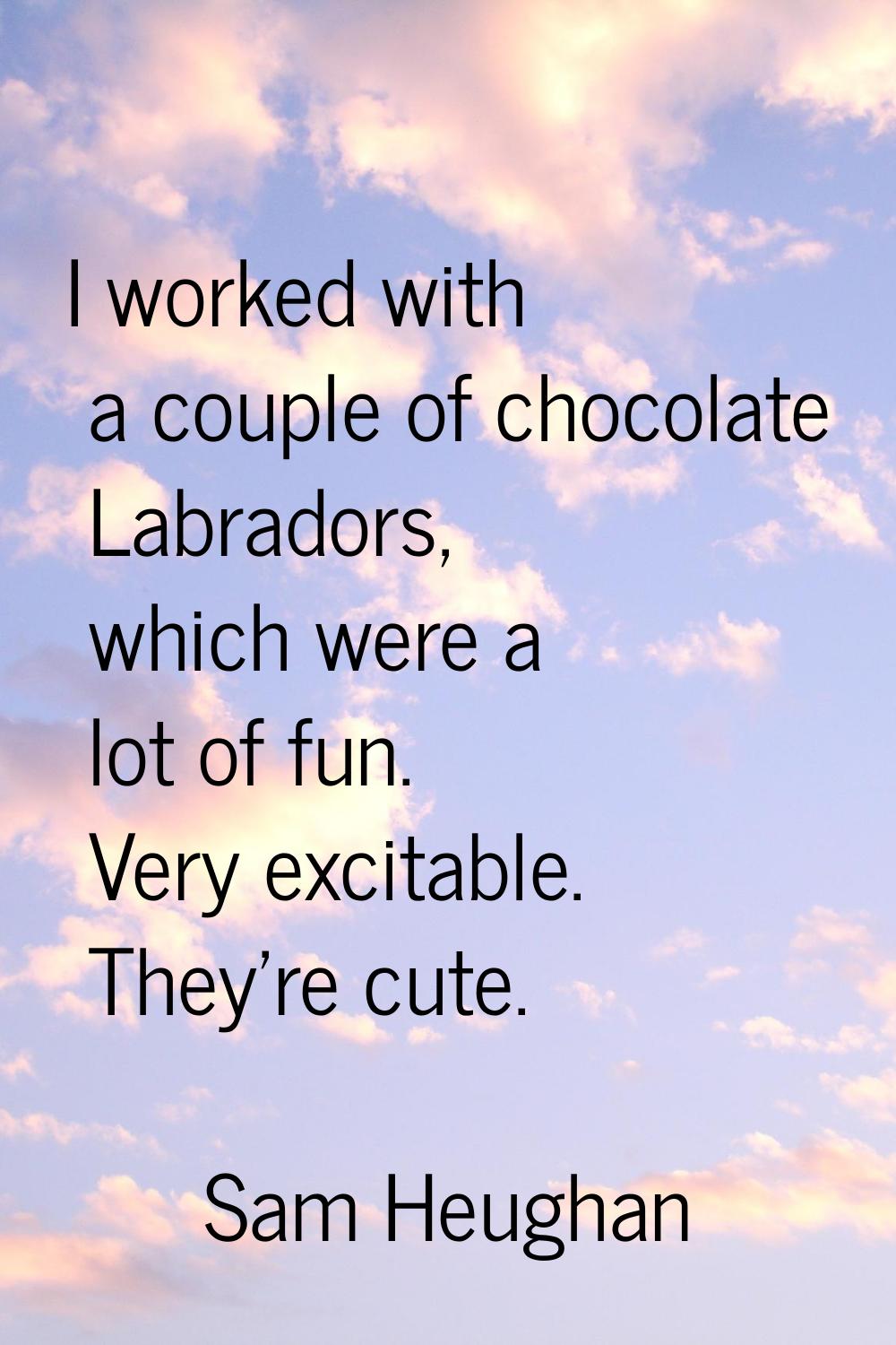 I worked with a couple of chocolate Labradors, which were a lot of fun. Very excitable. They're cut