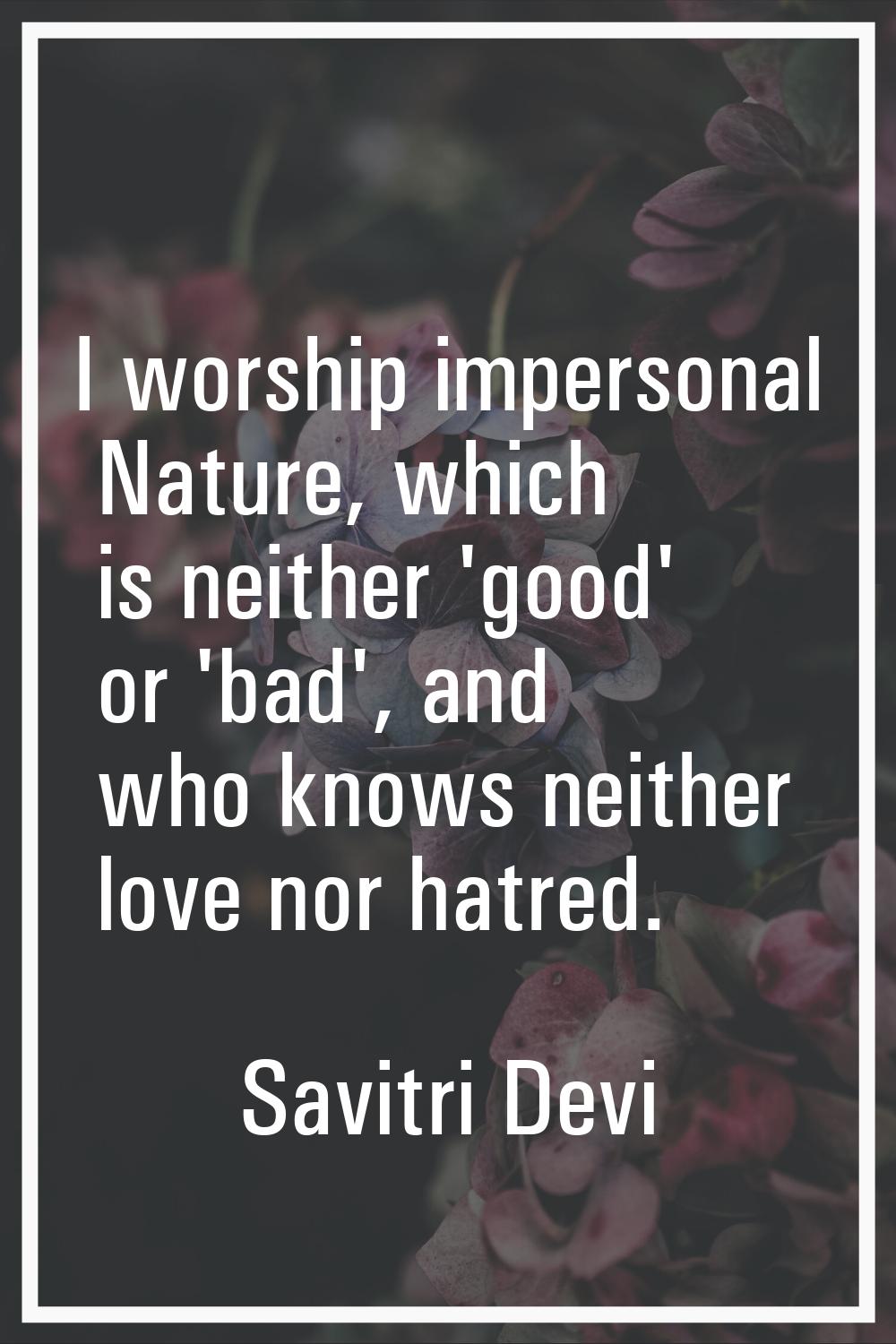 I worship impersonal Nature, which is neither 'good' or 'bad', and who knows neither love nor hatre