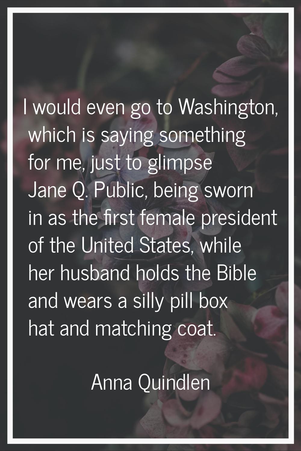 I would even go to Washington, which is saying something for me, just to glimpse Jane Q. Public, be