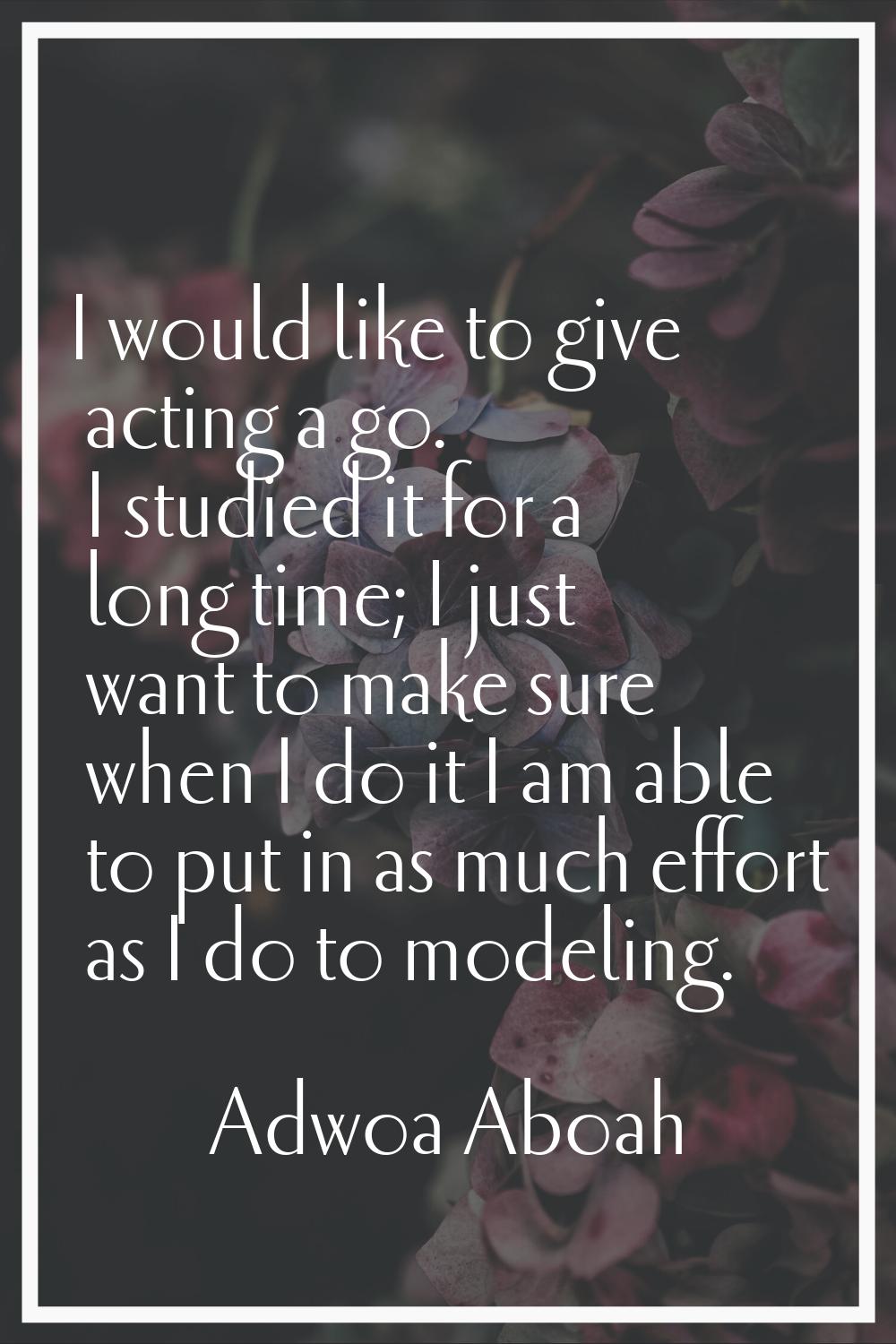 I would like to give acting a go. I studied it for a long time; I just want to make sure when I do 