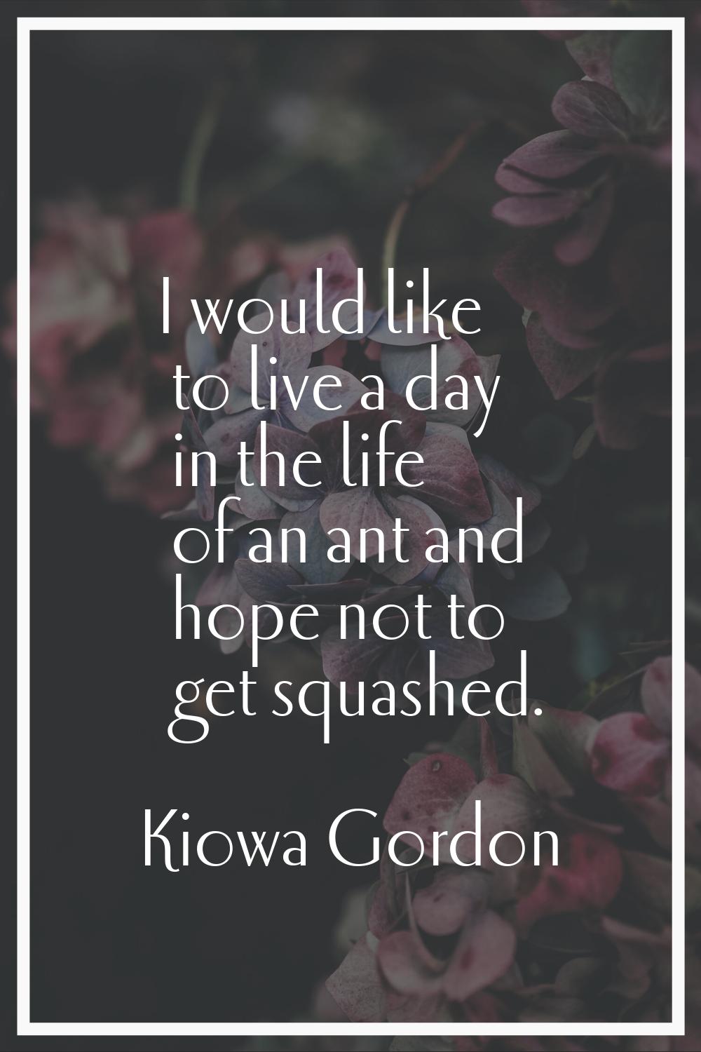 I would like to live a day in the life of an ant and hope not to get squashed.