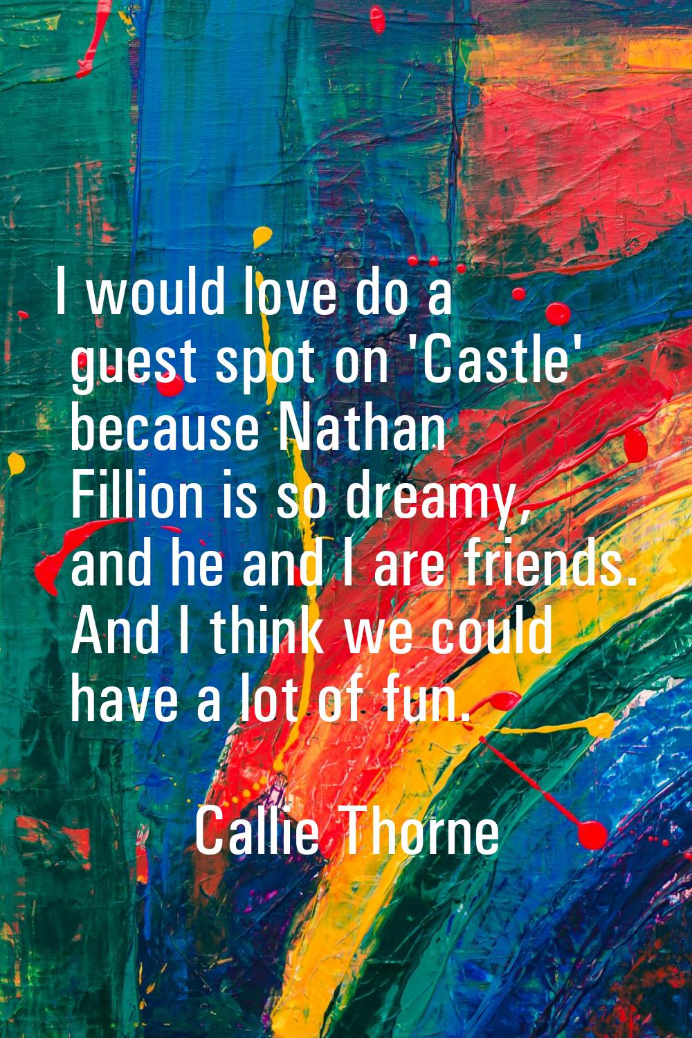 I would love do a guest spot on 'Castle' because Nathan Fillion is so dreamy, and he and I are frie
