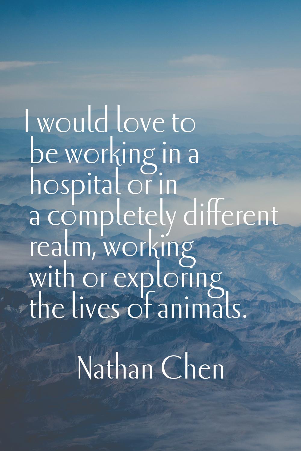 I would love to be working in a hospital or in a completely different realm, working with or explor